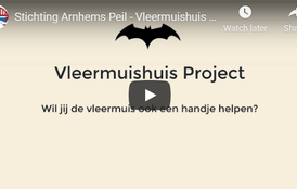 2020-08-18-arnhemspeil-vleermuishuis-project-video