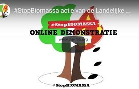 2020-16-04-thefab-stopbiomassa-actie-van-de-federatie-tegen-biomassacentrales-video-edsptv