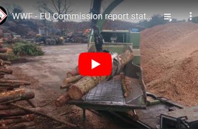 2021-02-05-wwf-eu-commission-report-states-most-forest-biomass-harms-climate-and-biodiversity-video-edsptv